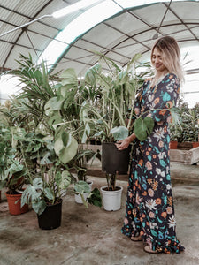 Jacqueline dress